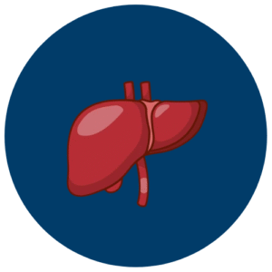 Liver & Digestive Health