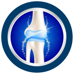 Bone & Joint Care