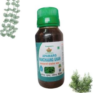 Apamarg panchang ghan